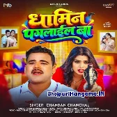 Khojata Vitamin Hamar Dhamin Paglail Ba
