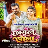 Chhagle Tohar Ae Sona Pagale Bana Gail (Hit Matter)